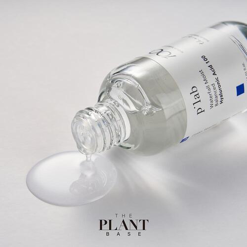 The Plant Base Waterful Moist Balance Hyaluronic Acid 100 30ml