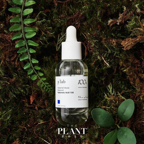 The Plant Base Waterful Moist Balance Hyaluronic Acid 100 30ml