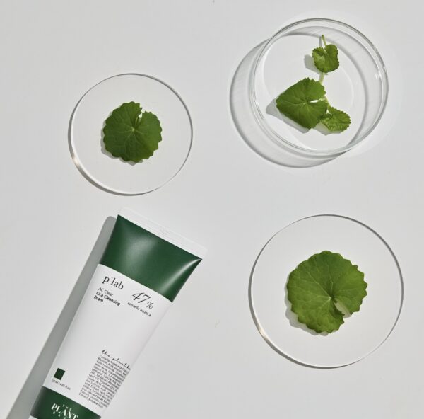 The Plant Base AC Clear Cica Cleansing Foam